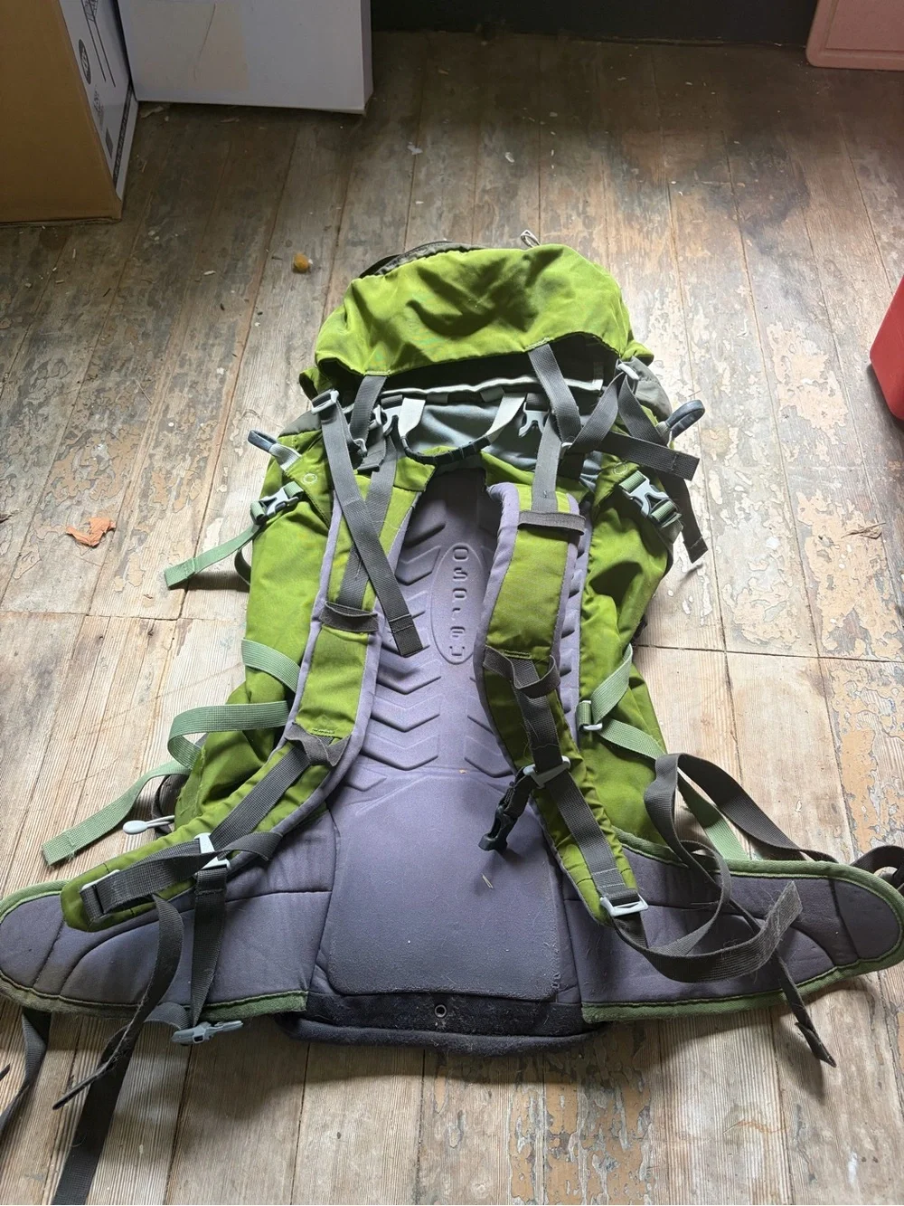 Osprey mutant 38L